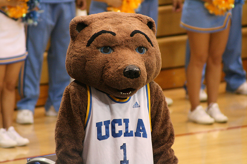 UCLA Mascot Joe Bruin